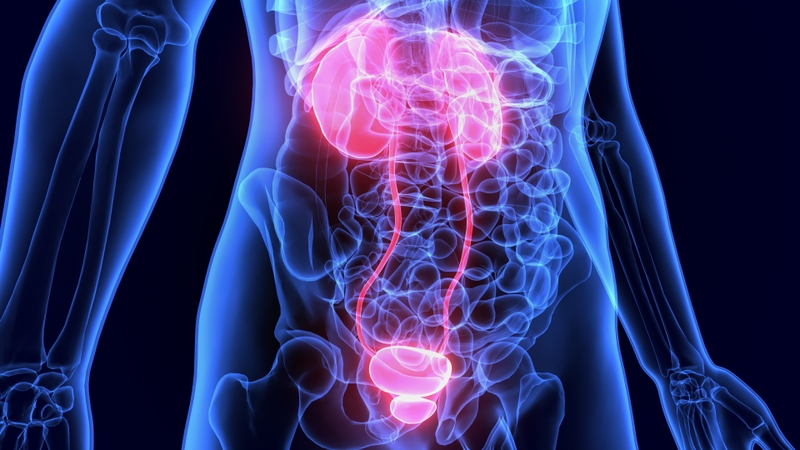 Viêm niệu đạo nữ có tự khỏi không? Điều trị như thế nào? 3