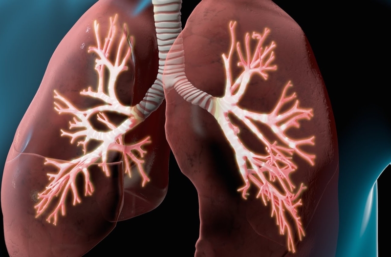 Viêm phế quản bao lâu thì khỏi? Có tái lại không? 1