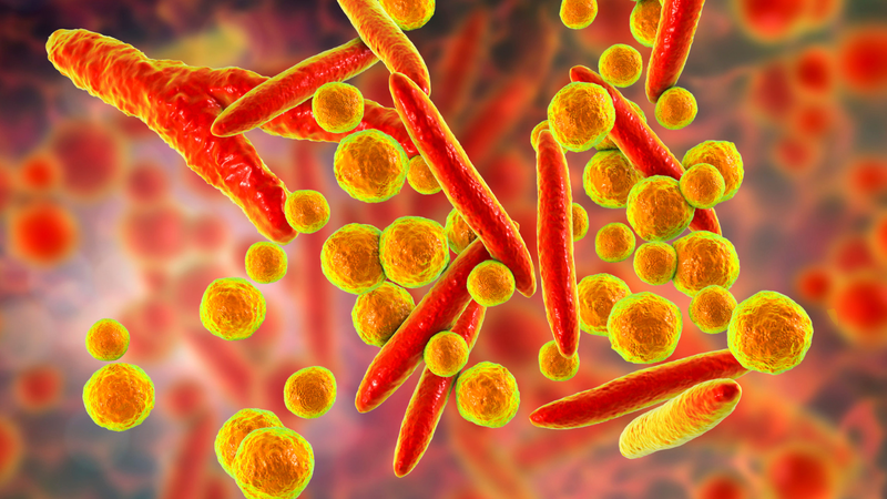 Viêm phổi do virus Mycoplasma ở trẻ em gây ra biểu hiện gì? 2