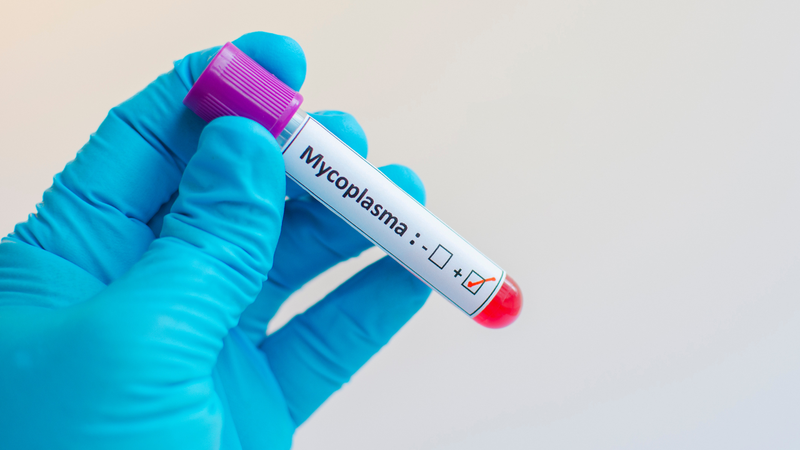 Viêm phổi do virus Mycoplasma ở trẻ em gây ra biểu hiện gì? 4