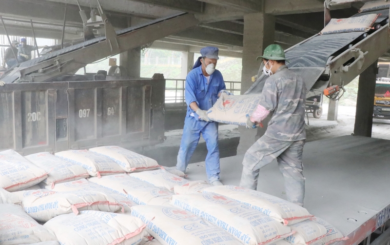 Viêm phổi kẽ tróc vảy là gì? Nguyên nhân và cách điều trị viêm phổi kẽ tróc vảy 3