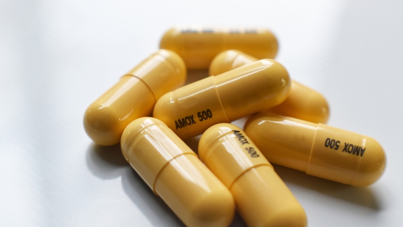 Amoxicillin là kháng sinh được lựa chọn đầu tay trong điều trị viêm tai giữa cấp tính