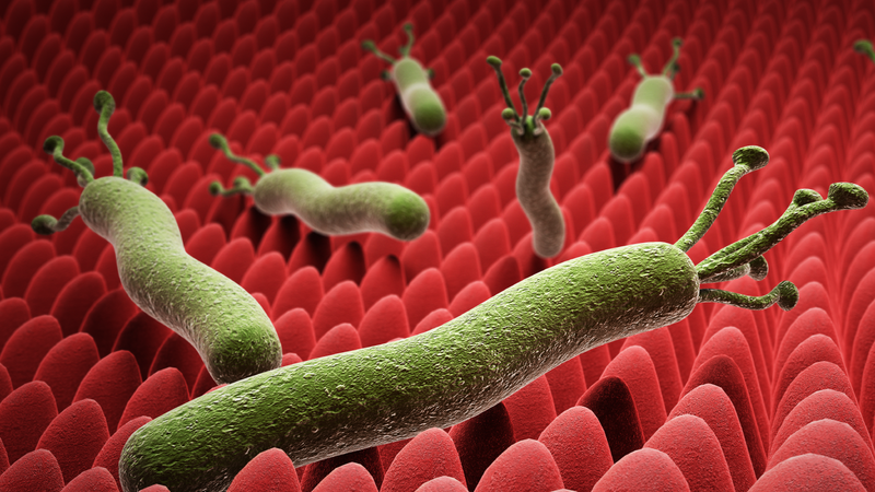 Viêm teo niêm mạc dạ dày có chữa khỏi không - Đọc ngay! 1