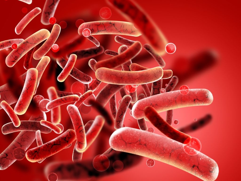 Viêm tinh hoàn uống thuốc gì? Những lưu ý cần biết khi điều trị viêm tinh hoàn 2