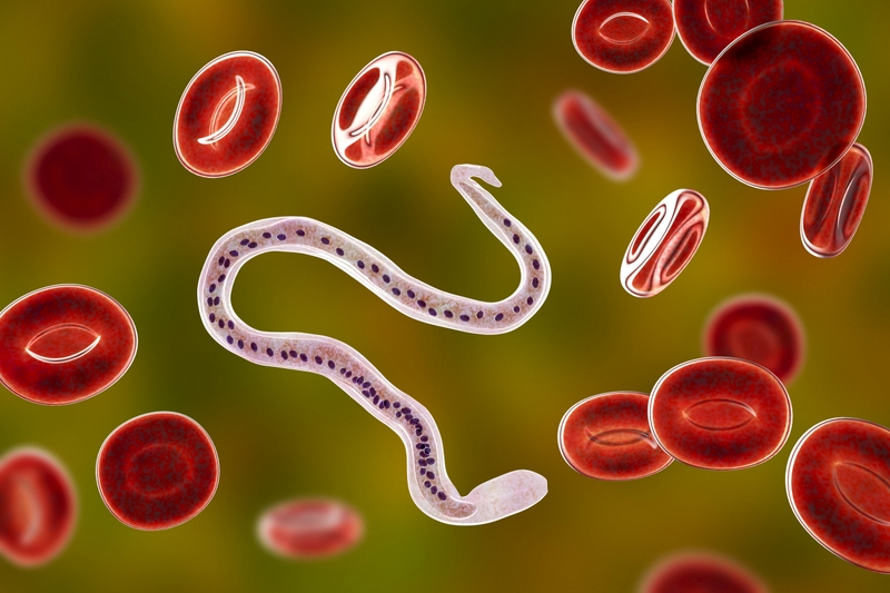 Viêm túi tinh là gì? Làm thế nào để duy trì một túi tinh khỏe mạnh 5