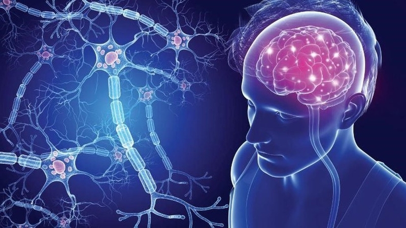 Viêm tủy thị thần kinh: Bệnh hiếm gặp gây suy giảm thị lực và liệt nửa người 1