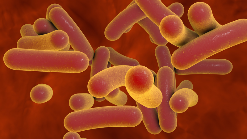 Viêm tuyến bartholin bị vỡ nguy hiểm như thế nào? Phương pháp điều trị 2