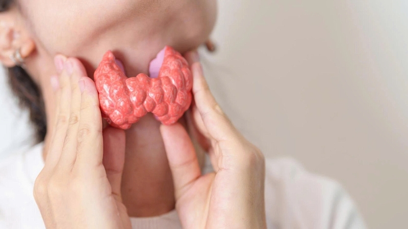 Viêm tuyến giáp mãn tính là tình trạng viêm kéo dài có thể ảnh hưởng đến chức năng tuyến giáp theo thời gian