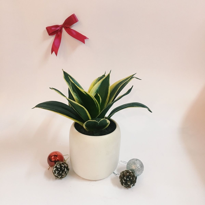 Viêm xoang bội nhiễm là gì và cách phòng tránh bệnh 3