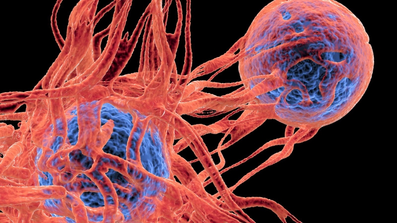 Cơ chế chuyển từ tình trạng viêm thành ung thư