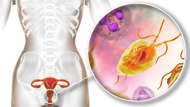 Viên đặt phụ khoa Natizio là gì? Những lưu ý khi sử dụng thuốc Natizio 2