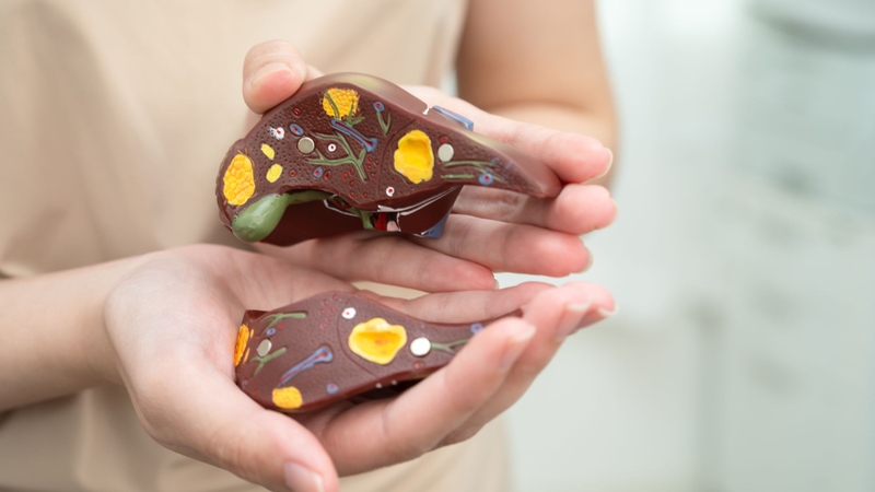 Phòng ngừa các bệnh lý về gan