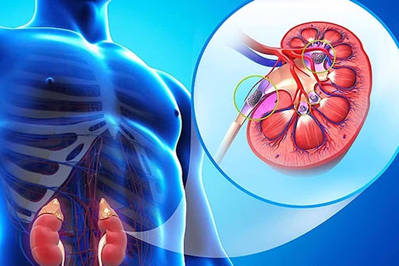 Cách chăm sóc và bảo vệ thận luôn khỏe mạnh 1