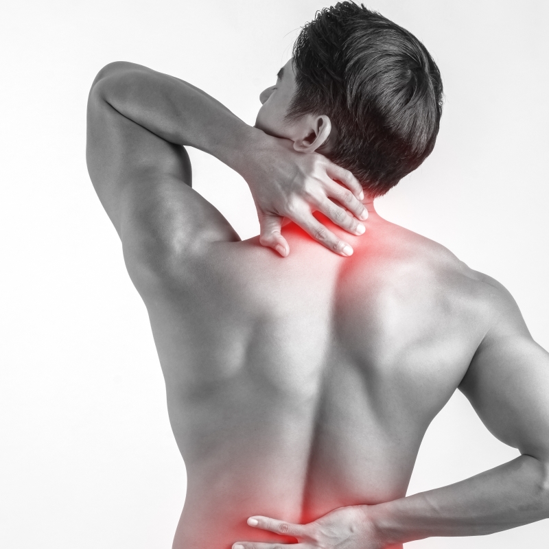 Viên uống Ericllux Ocavill giảm đau xương khớp, tăng tiết dịch phòng ngừa thoái hóa khớp 1