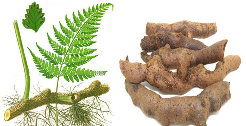 Viên uống KIM THÍNH IMC 2 LỌ X 90 VIÊN TẶNG 1 HỘP 30V – Hỗ trợ cải thiện các bệnh về thính giác hiệu quả 2