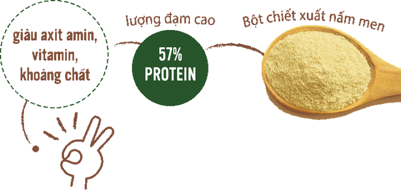 Viên Uống Premom Gold Jpanwell Bổ Sung Dưỡng Chất & Vitamin Cần Thiết Cho Thai Kỳ Khỏe Mạnh 3