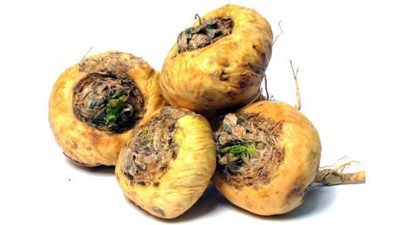 Viên uống tăng cường chức năng sinh lý nam KENKAN KAKI EKISU TOHCHUKASOU 60V với tinh chất hàu tươi  5