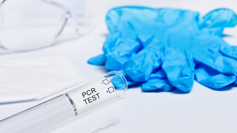 Viện Vệ sinh dịch tễ Trung ương cho biết đã chuẩn bị đầy đủ để thực hiện chẩn đoán xác định virus Nipah bằng Realtime-PCR