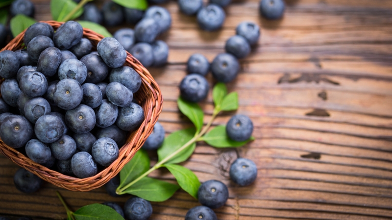 Việt quất thường có hình tròn, đường kính chỉ từ 5 - 16 mm, khi chín có màu xanh tím đặc trưng