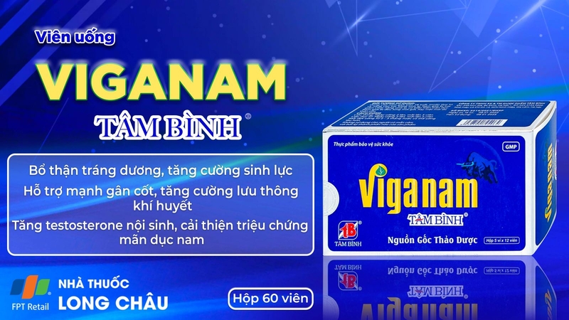 Viganam Tâm Bình 2