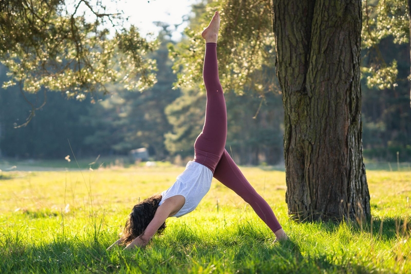 Vinyasa yoga là gì? Lợi ích của việc luyện tập vinyasa yoga4