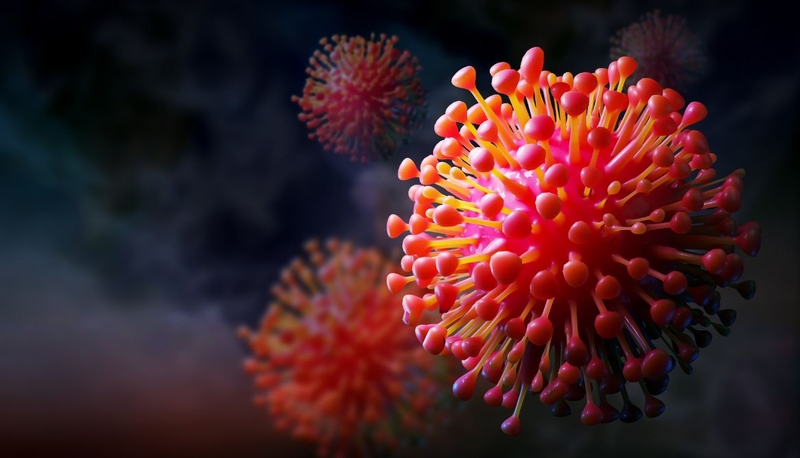 Virus HPV gây bệnh gì ở nam giới? Cách phòng ngừa HPV hiệu quả 1