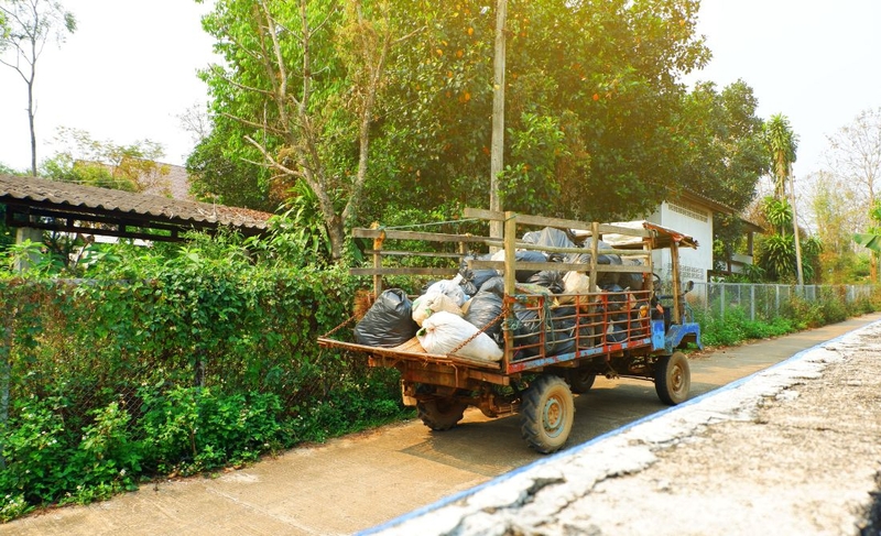 Virus Machupo: Nguồn gốc, ảnh hưởng, cơ chế gây bệnh, cách phòng ngừa 4