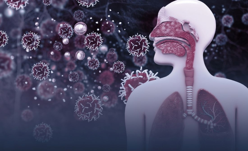 Virus Machupo: Nguồn gốc, ảnh hưởng, cơ chế gây bệnh, cách phòng ngừa 3