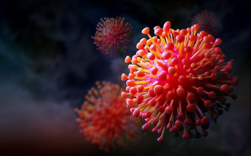 Virus RSV ủ bệnh bao lâu? Trong thời gian ủ bệnh virus RSV có lây không 1