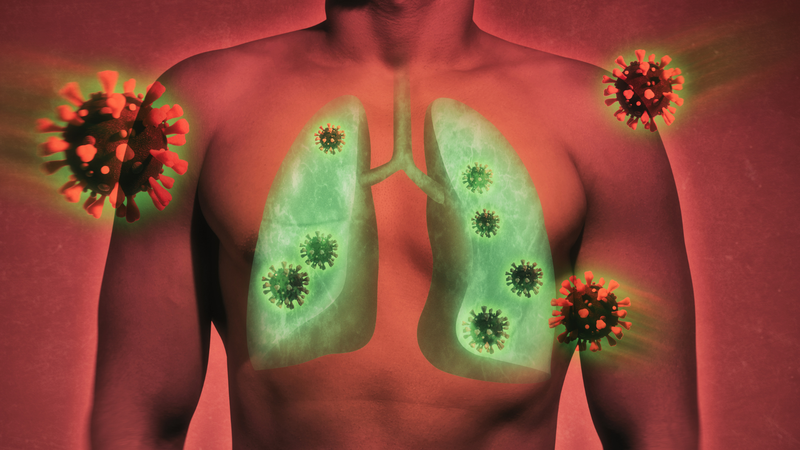 Virus Andes có thể gây hội chứng tim phổi do Hantavirus, bệnh lý ảnh hưởng nghiêm trọng đến phổi và tim mạch