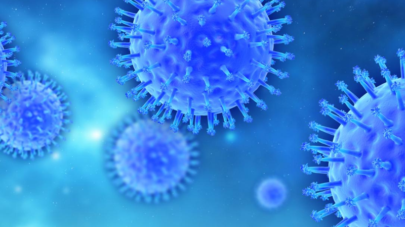 Virus cúm A là một trong những tác nhân gây bệnh cúm mùa và các bệnh cảnh nhiễm trùng hô hấp cấp