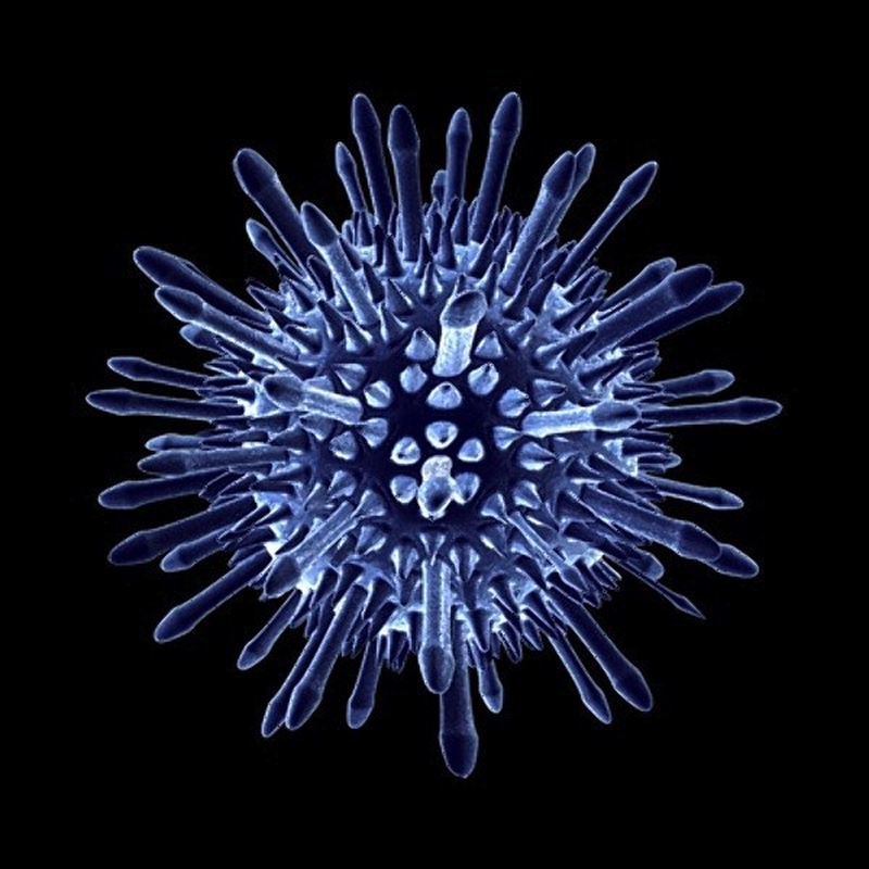 Các phương pháp ngăn ngừa virus đau mắt đỏ lây lan 1