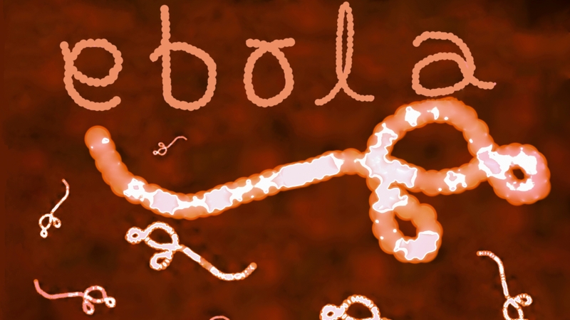 Virus Ebola lây qua đường nào là thắc mắc của nhiều người