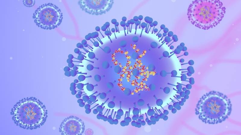 Virus gây viêm phổi HMPV đã lưu hành ở TP.HCM 2