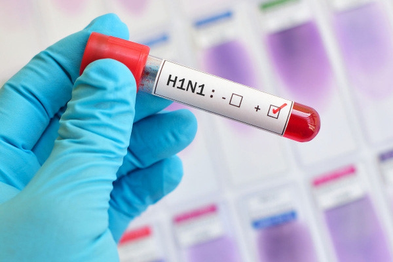 Virus H1N1 bùng lên giữa dịch bệnh do COVID-19