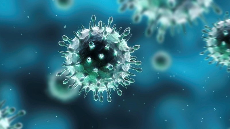 virus-h2-n2-la-gi-cac-yeu-to-quan-trong-can-luu-y-de-dam-bao-suc-khoe-cong-dong 2