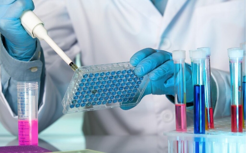 Virus Hanta gây ra bệnh gì? Biện pháp phòng bệnh do virus Hanta gây ra 3