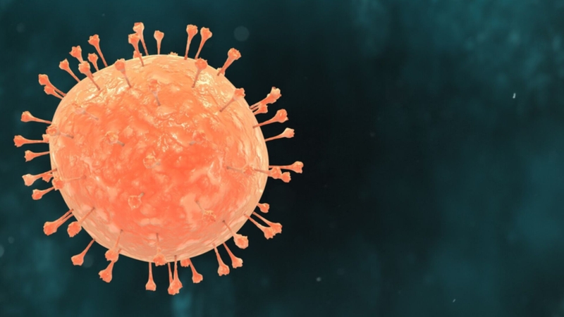 Virus hợp bào hô hấp là nguyên nhân hàng đầu gây viêm tiểu phế quản và viêm phổi