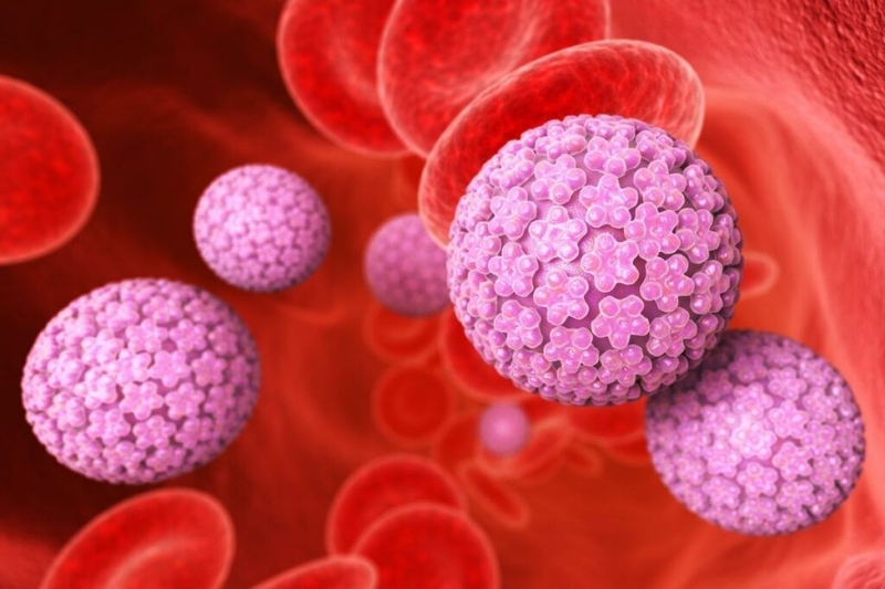 Virus HPV 31, 33, 35 gây bệnh gì? 2