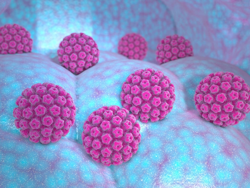 Virus HPV có gây ung thư dương vật không? 1