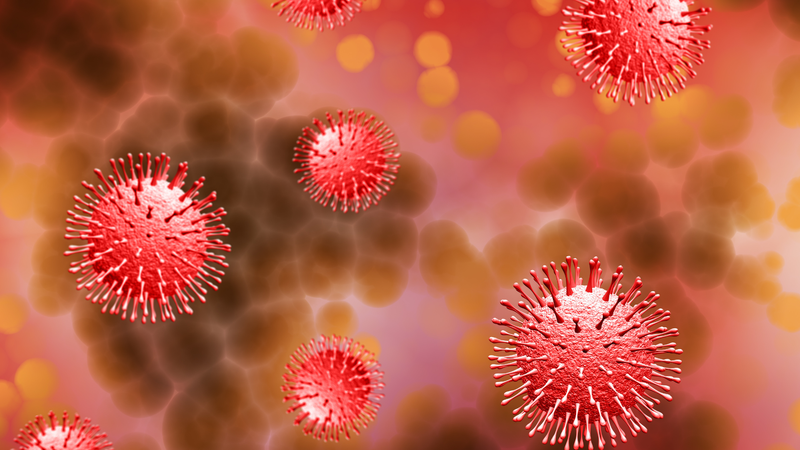 Virus HPV là gì? Dấu hiệu và cách phòng ngừa lây nhiễm