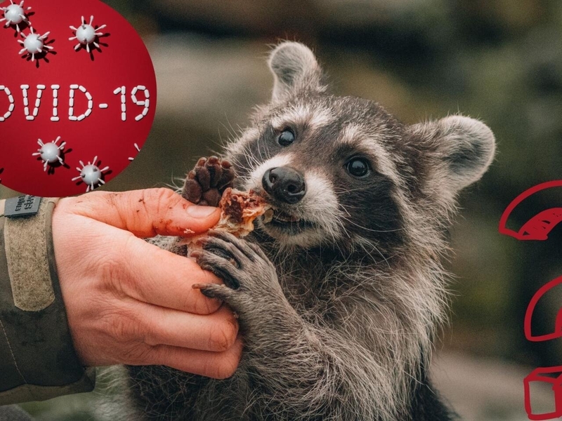 Virus là gì? Chúng có thể gây ra những bệnh gì? 2