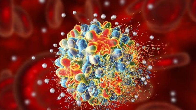 Virus là gì? Chúng có thể gây ra những bệnh gì? 1