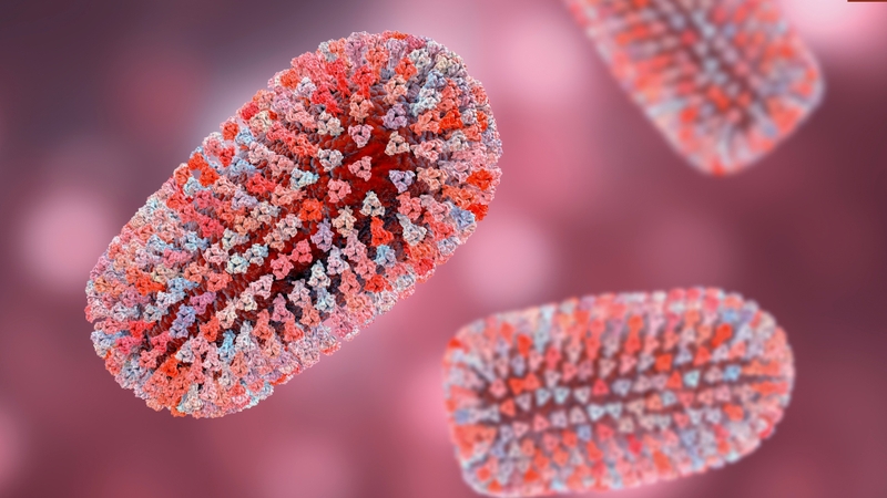 Virus dại đứng Top 1 virus nguy hiểm nhất thế giới
