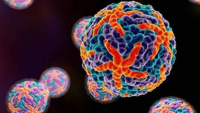 Virus gây bệnh sốt xuất huyết
