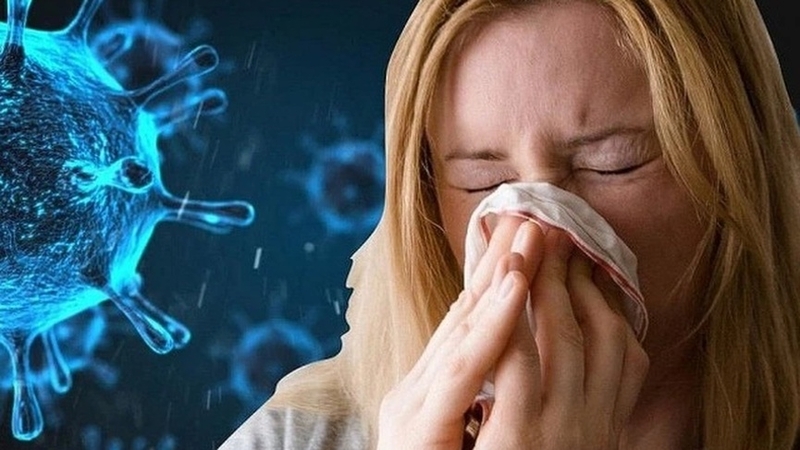 Virus Nipad nguy hiểm như thế nào? 3