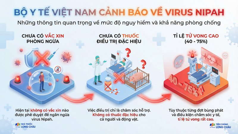 Virus Nipah là virus gì mà Bộ Y tế phải cảnh báo khẩn?
