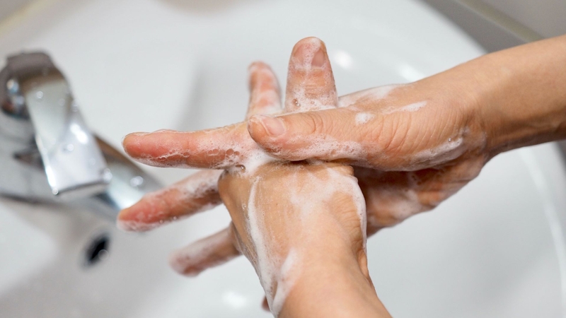 Chủ động phòng ngừa góp phần hạn chế nguy cơ lây lan của virus Nipah