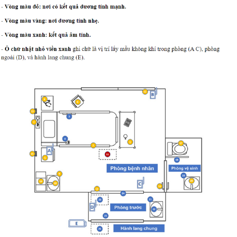 Virus SARS-CoV-2 dính vào những đâu xung quanh bệnh nhân 2