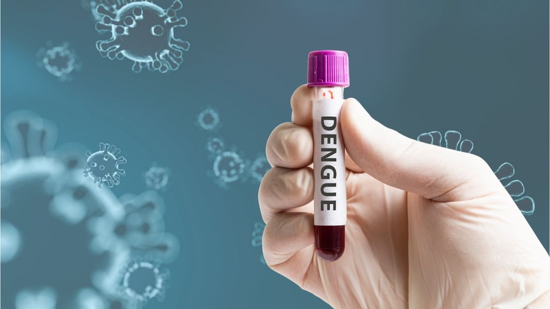 Sốt xuất huyết có 4 tuýp virus chính với đặc điểm miễn dịch khác nhau